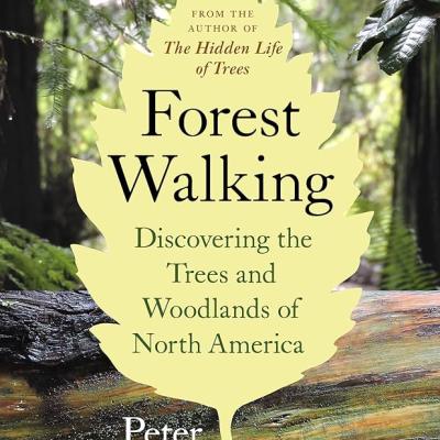 Forest Walking by Peter Wohlleben and Jane Billinghurst