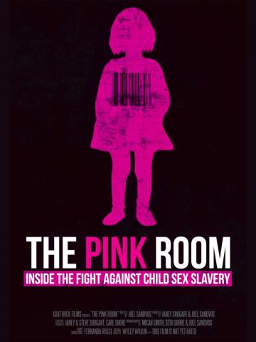 Film cover for The Pink Room