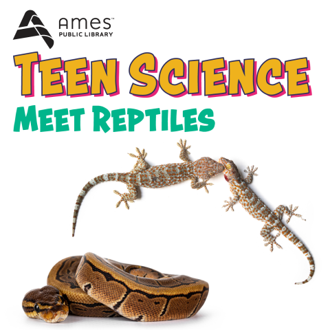 Teen Science: Meet Reptiles