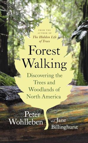 Forest Walking by Peter Wohlleben and Jane Billinghurst