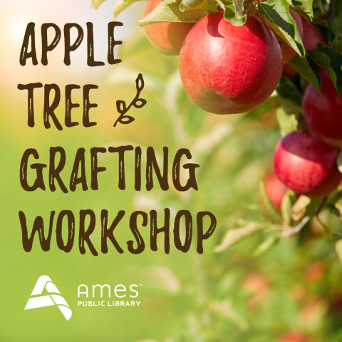Apple Tree Grafting Workshop